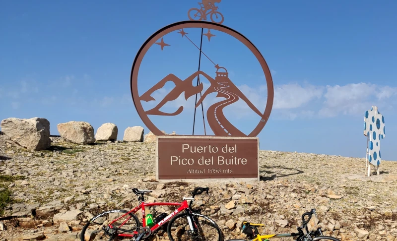 pico del buitre